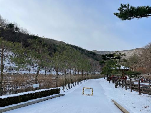 보령무궁화수목원