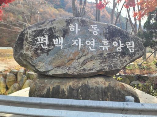하동편백나무숲