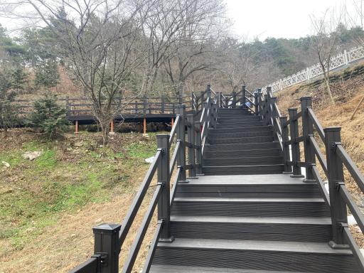 영광물무산행복숲
