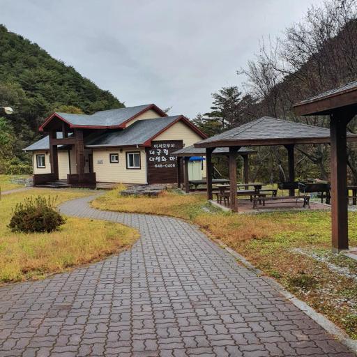 대굴령야생화마을
