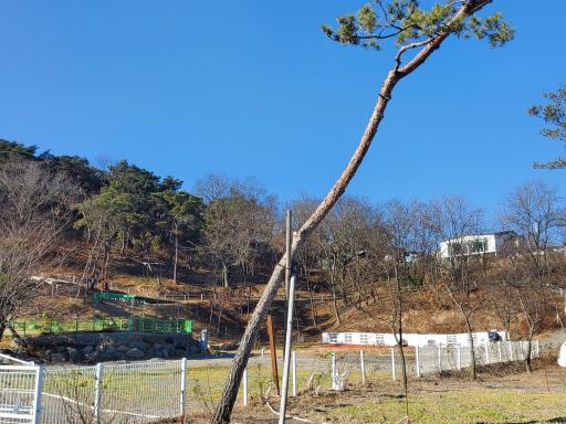 홀스파크