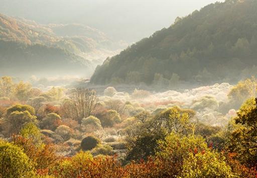 비밀의정원