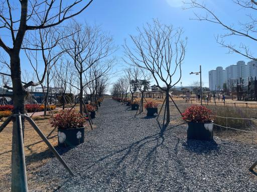 고하도목화단지