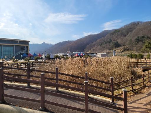 940. 은행나무길