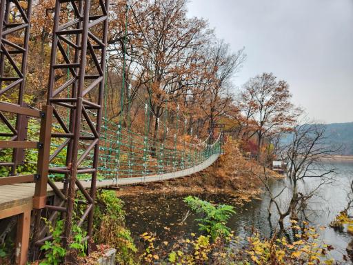옥연지송해공원출렁다리