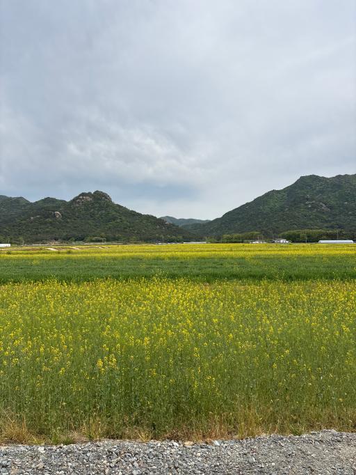 월출산경관단지