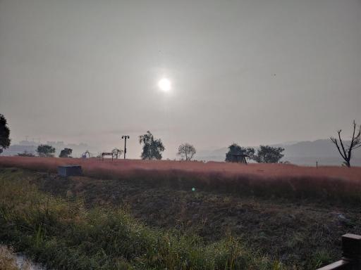 백조공원 음악분수