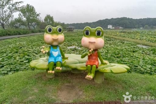 내동마을연꽃단지