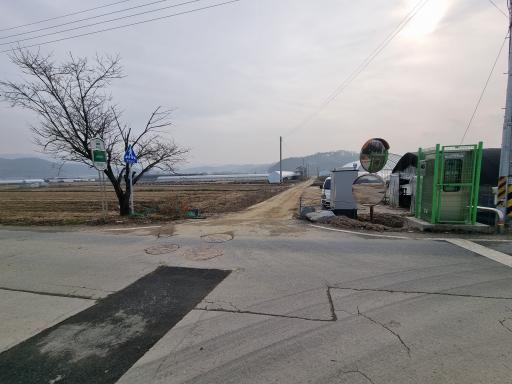 청주가덕코스모스길