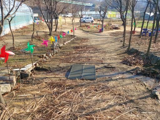 곤충도시