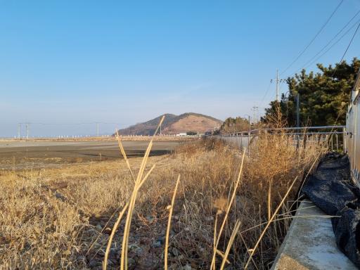 탄도바닷길
