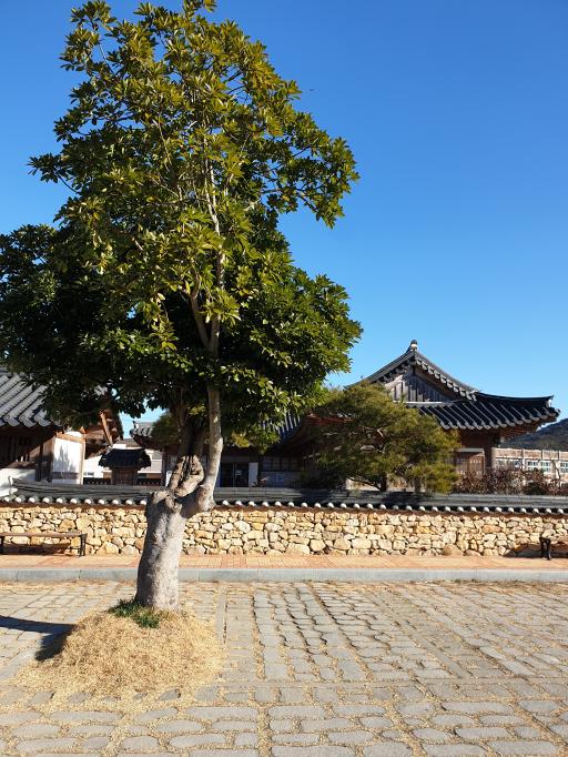 세연정